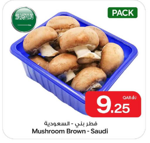 Mushroom from Saudi Arabia available at بن داود in قطر - الدوحة