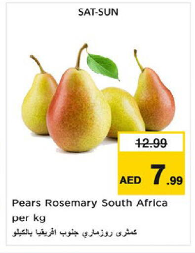 Rosemary from South Africa available at نستو هايبرماركت in الإمارات العربية المتحدة , الامارات - أم القيوين‎