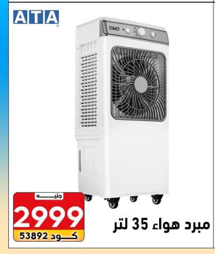 available at Center Elzelzal in Egypt - Cairo