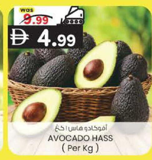 Avocado available at K M Trading  in UAE - Sharjah / Ajman