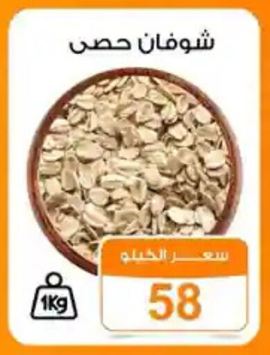 available at جملة ماركت in Egypt - القاهرة