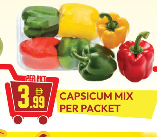 Capsicum available at دريم لاند in الإمارات العربية المتحدة , الامارات - دبي