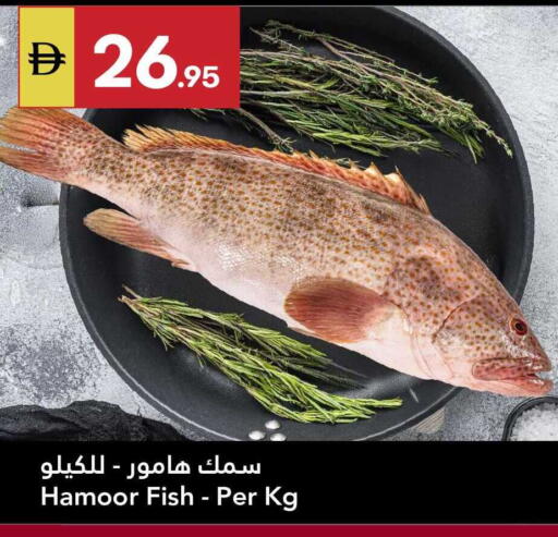 available at جراند الإمارات للتسوق in الإمارات العربية المتحدة , الامارات - أبو ظبي