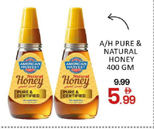 Mango available at Mango Hypermarket LLC in UAE - Dubai