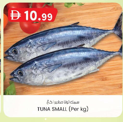 available at K M Trading  in UAE - Sharjah / Ajman