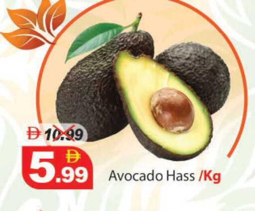 Avocado available at ديزرت فريش ماركت in الإمارات العربية المتحدة , الامارات - أبو ظبي