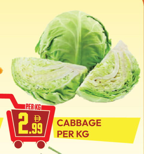 Cabbage available at دريم لاند in الإمارات العربية المتحدة , الامارات - دبي