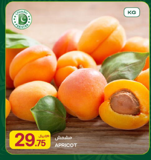 Apricot from Pakistan available at شركة الميرة للمواد الاستهلاكية in قطر - الشحانية