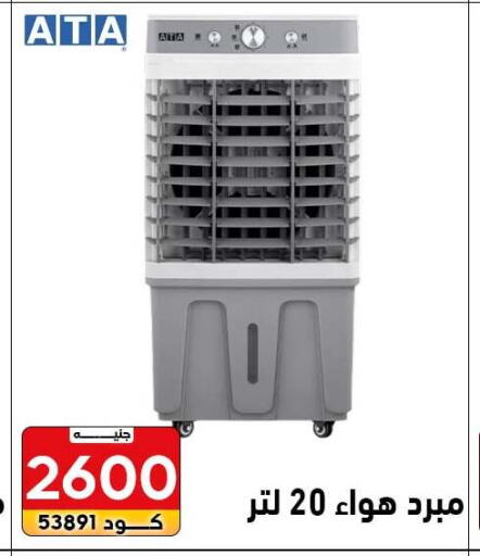available at Center Elzelzal in Egypt - Cairo