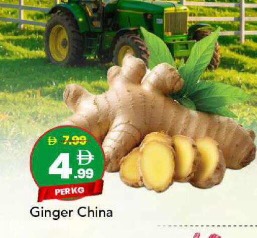 Ginger from China available at مارك & سيف in الإمارات العربية المتحدة , الامارات - أبو ظبي