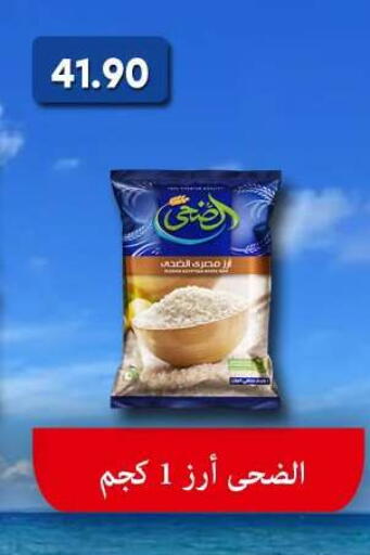 available at باسم ماركت in Egypt - القاهرة