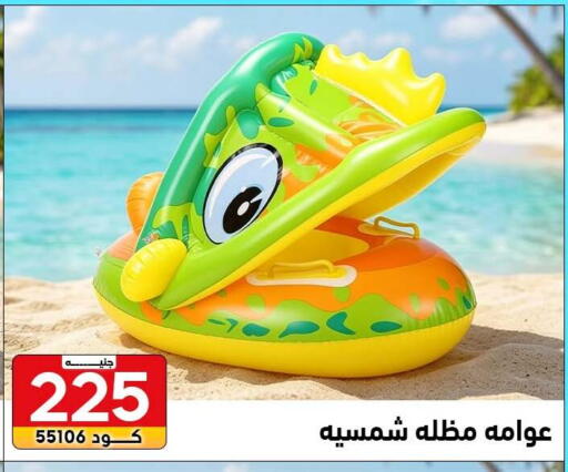 available at Center Elzelzal in Egypt - Cairo