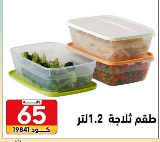 available at Center Elzelzal in Egypt - Cairo