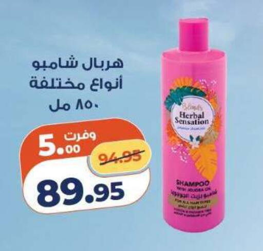 available at كازيون in Egypt - القاهرة