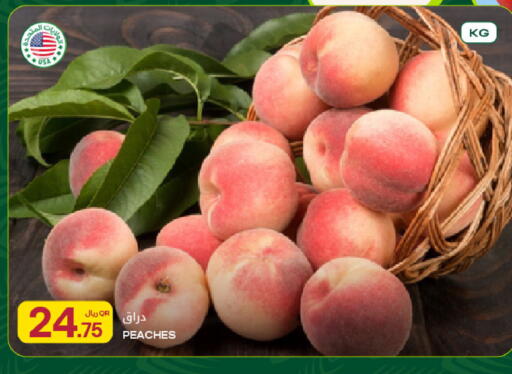 available at شركة الميرة للمواد الاستهلاكية in قطر - الشحانية