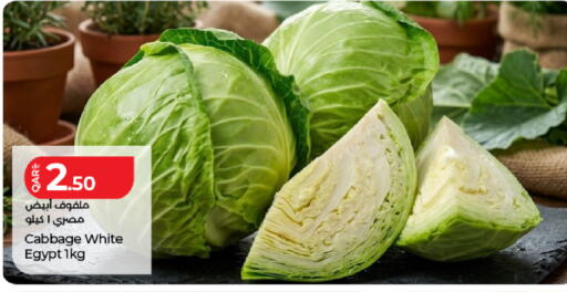 Cabbage from Egypt available at لولو هايبرماركت in قطر - الضعاين