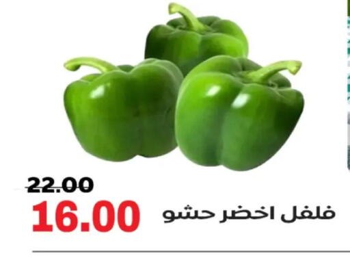 available at الصردي جملة ماركت in Egypt - القاهرة