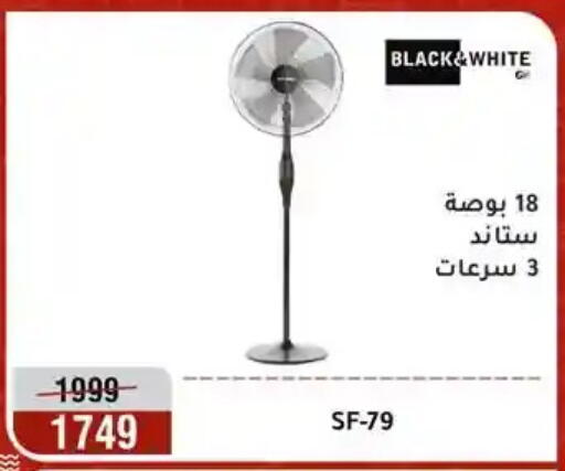 available at Al Morshedy  in Egypt - Cairo