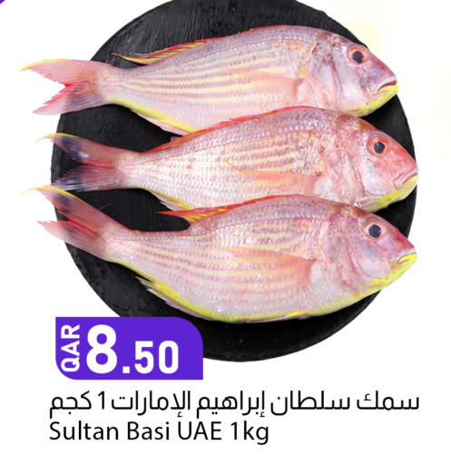 available at دانا ماركت in قطر - الريان