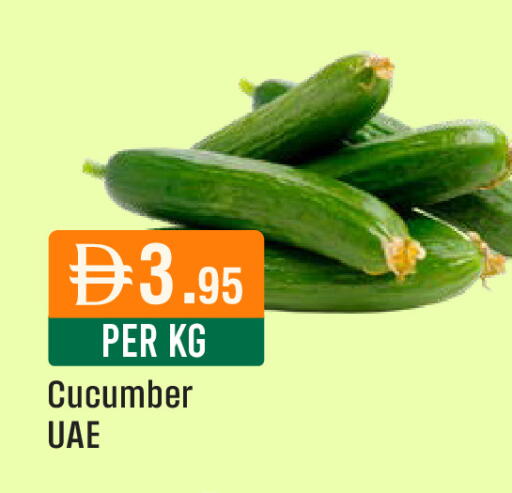 Cucumber available at ويست زون سوبرماركت in الإمارات العربية المتحدة , الامارات - دبي