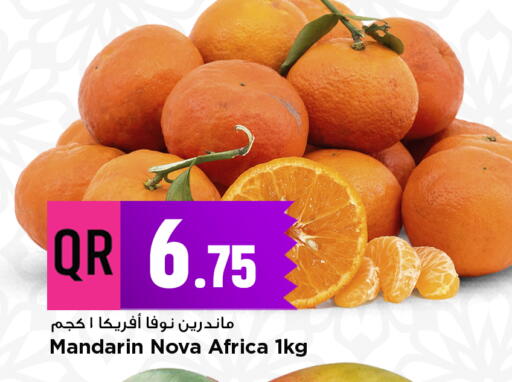 Mandarin available at مرزا هايبرماركت in قطر - الشمال