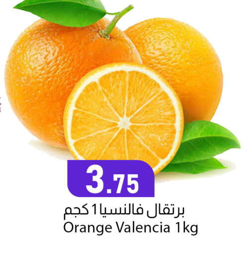 Orange available at دانا ماركت in قطر - الشمال