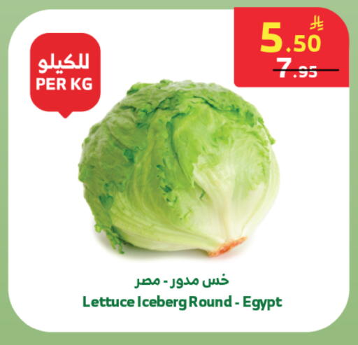 Lettuce from Egypt available at Al Raya in KSA, Saudi Arabia, Saudi - Jeddah