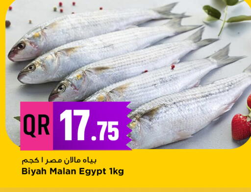 available at مرزا هايبرماركت in قطر - الشحانية