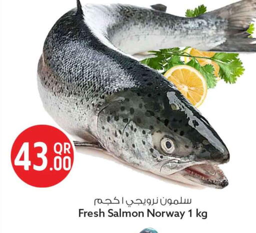 available at سفاري هايبر ماركت in قطر - الريان