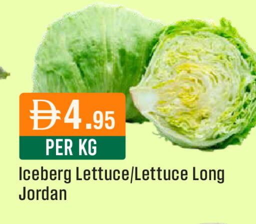 Lettuce from Jordan available at ويست زون سوبرماركت in الإمارات العربية المتحدة , الامارات - دبي
