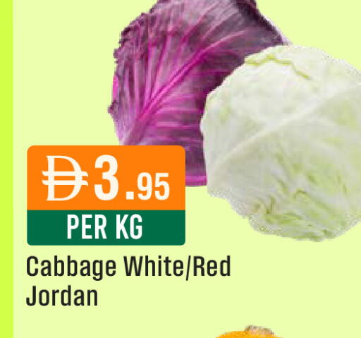 Cabbage from Jordan available at ويست زون سوبرماركت in الإمارات العربية المتحدة , الامارات - دبي