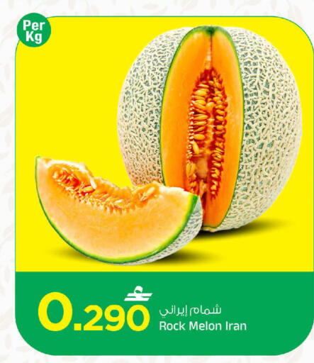 Melon from Iran available at MARK & SAVE in Oman - Muscat