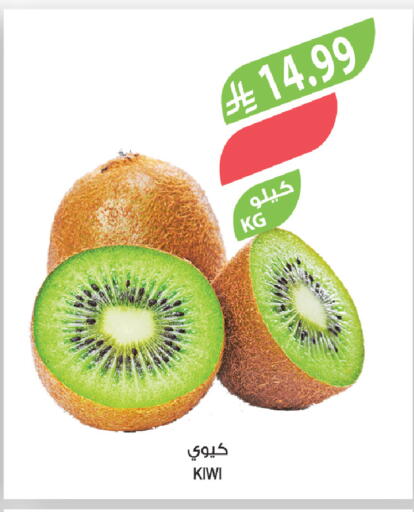 Kiwi available at المزرعة in مملكة العربية السعودية, السعودية, سعودية - تبوك