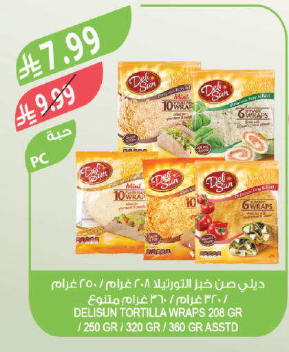 Spinach Tomato available at Farm  in KSA, Saudi Arabia, Saudi - Tabuk