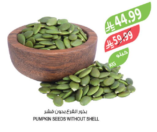 Pumpkin available at المزرعة in مملكة العربية السعودية, السعودية, سعودية - تبوك