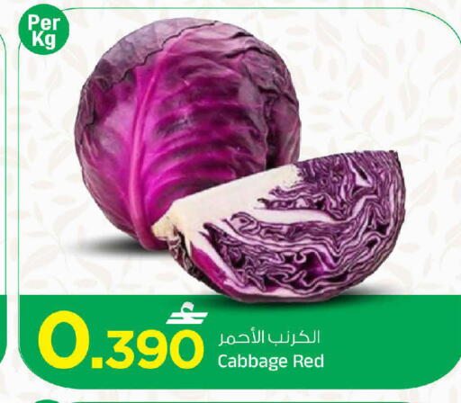 Cabbage available at مارك & سايف in عُمان - مسقط‎