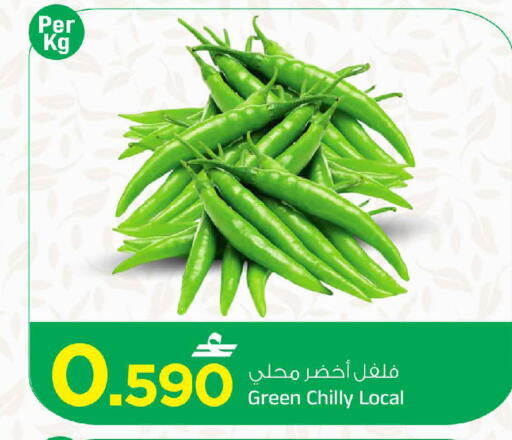 available at مارك & سايف in عُمان - مسقط‎