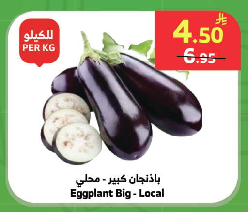 Eggplant available at الراية in مملكة العربية السعودية, السعودية, سعودية - خميس مشيط