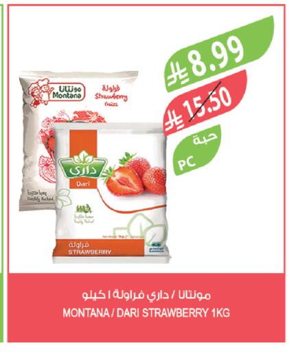 Strawberry available at المزرعة in مملكة العربية السعودية, السعودية, سعودية - الرياض