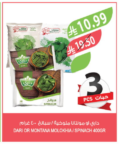 Spinach available at المزرعة in مملكة العربية السعودية, السعودية, سعودية - الرياض