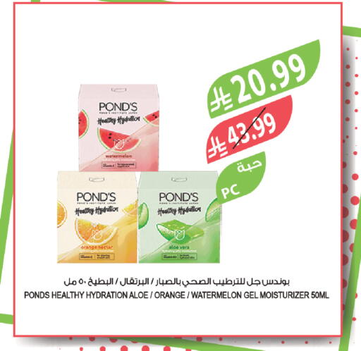 Watermelon Orange available at Farm  in KSA, Saudi Arabia, Saudi - Al-Kharj