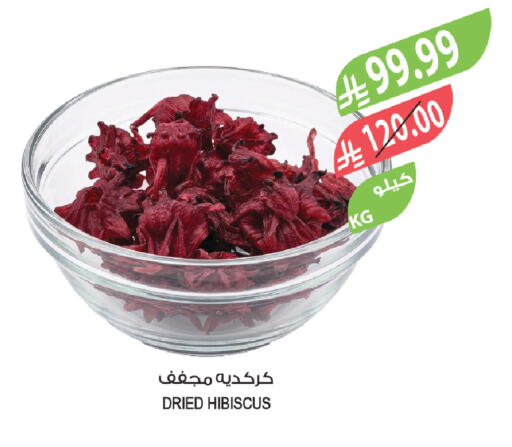 available at المزرعة in مملكة العربية السعودية, السعودية, سعودية - تبوك