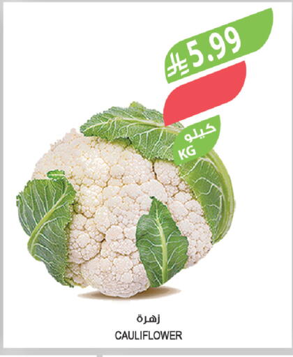 Cauliflower available at Farm  in KSA, Saudi Arabia, Saudi - Riyadh