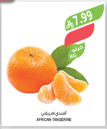available at المزرعة in مملكة العربية السعودية, السعودية, سعودية - تبوك