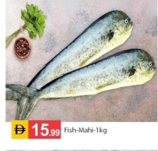 available at سوق طلال in الإمارات العربية المتحدة , الامارات - أبو ظبي