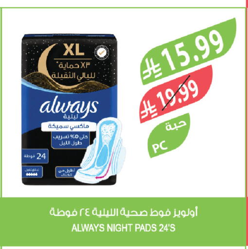 available at Farm  in KSA, Saudi Arabia, Saudi - Tabuk