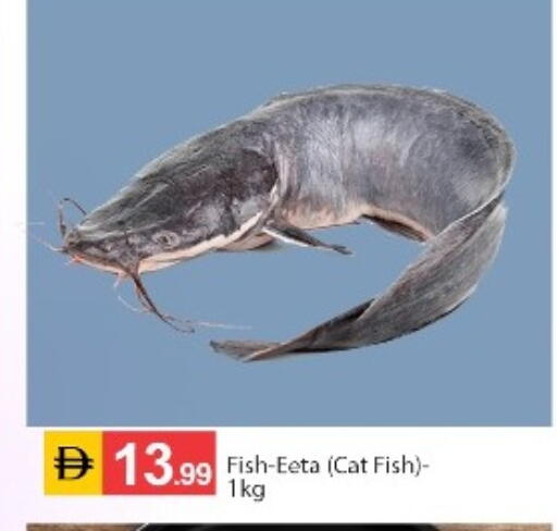 available at TALAL MARKET in UAE - Abu Dhabi