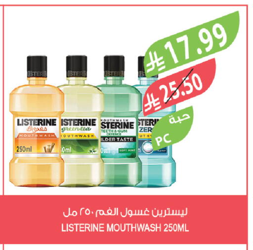 Mint available at المزرعة in مملكة العربية السعودية, السعودية, سعودية - تبوك