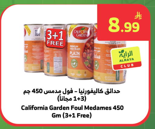 available at الراية in مملكة العربية السعودية, السعودية, سعودية - خميس مشيط