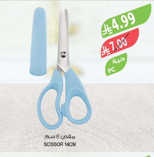 available at المزرعة in مملكة العربية السعودية, السعودية, سعودية - تبوك